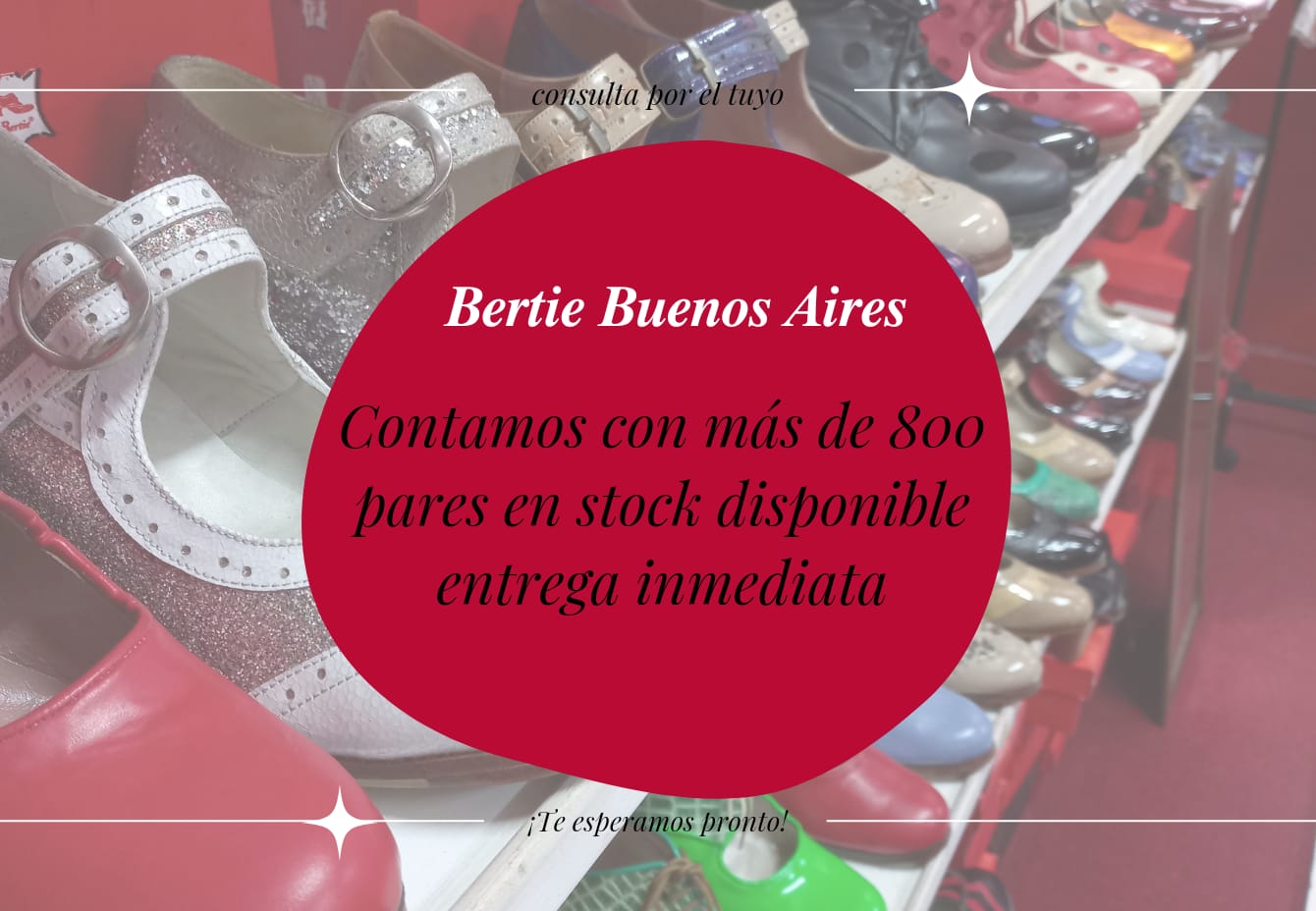 BERTIE Buenos Aires Zapatos profesionales para flamenco